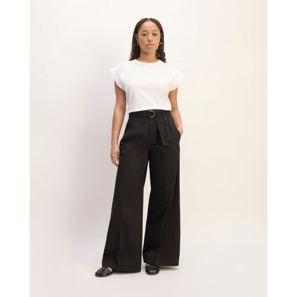 Everlane The Pleated Wide-Leg Chino in Black 16 - Picture 2 of 10